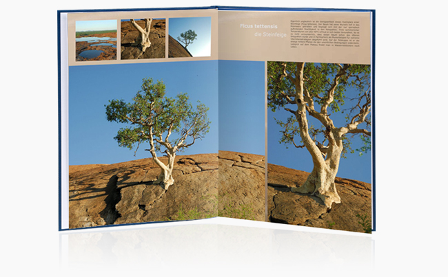 Fotob&uuml;cher von Foto Wolf 