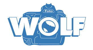 Foto Wolf Dresden-Logo