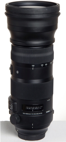 Sigma 150-600/5-6,3 DG OS HSM (Sports) für Canon *gebraucht*