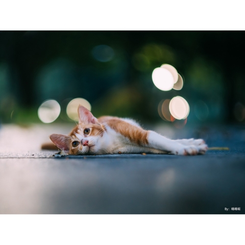TTArtisan 75mm/F1,5 M42 (FF)