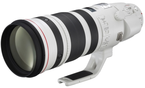 Canon EF 200-400mm/F4 L IS USM Extender 1.4x