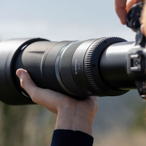 Canon RF 800mm/F11 IS STM
